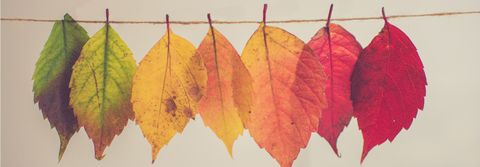 Weeknotes 2018 Nov 30
